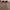 Y2K Indie Sunglass Pria silver photo 4