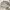 Japanese brand Vintage Y2K Cardigan Pria white gray photo 4
