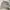 Japanese brand Vintage Y2K Cardigan Pria white gray photo 2
