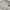 Japanese brand Vintage Y2K Cardigan Pria white gray photo 5