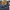 Dickies Avant Garde Brief Pria blue photo 5