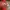 Casual Wanita red photo 4