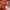 Casual Wanita red photo 3