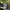 New Balance Sportswear Casual Sneakers Pria white black photo 1