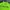 Nike Sportswear Jersey Pria green photo 8