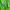 Nike Sportswear Jersey Pria green photo 7