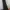 Vintage Evening dress Wanita black photo 6