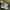 New Balance Sportswear Casual Sneakers Wanita white gray photo 1