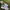New Balance Sportswear Casual Sneakers Pria White Gray