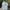 New Balance Sportswear Casual Sneakers Wanita white cream photo 4