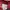 Japanese brand Streetwear Gorpcore Hoody Pria red photo 6