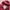 Japanese brand Streetwear Gorpcore Hoody Pria red photo 5