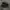 Nike Gorpcore Casual Sneakers Pria black photo 2