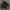 Nike Gorpcore Casual Sneakers Pria black photo 4