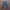 PLAC Streetwear Biker Jeans Pria navy blue photo 2