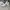 Nike Sportswear Sneakers Wanita white photo 1