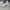 Nike Sportswear Sneakers Wanita White