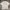 Casual T-shirt Pria White
