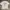 Casual T-shirt Pria white photo 4