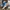 Casual Sneakers Pria blue photo 1