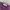 Casual Wanita purple photo 4