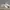 Puma Casual Sneakers Pria white gray photo 6