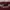 Vintage Streetwear Sweatshirt Pria burgundy photo 5