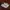 Nike Casual Sneakers Pria white gray photo 1