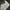 Nike Air Jordan Indie Casual Sneakers Pria white black photo 5