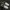 Nike Air Jordan Indie Casual Sneakers Pria white black photo 4