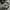 Nike Air Jordan Indie Casual Sneakers Wanita white black photo 3