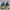 Gucci Indie Casual Sneakers Pria green photo 3