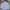 Polo Ralph Lauren Luxury Casual Formal Shirt Pria White Blue