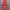 Japanese brand Streetwear Y2K High waisted jeans Wanita red photo 3
