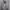 Streetwear Capes & poncho Pria gray photo 2