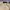 Kangol Casual Hat Pria cream photo 4