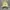 Kangol Casual Hat Pria cream photo 1