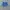 Vintage Streetwear Pria blue photo 3