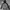 MLB Sportswear Casual Hoody Pria multicolor photo 1