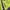 Casual Track jacket Pria purple green photo 3