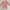 Luxury Casual Pea Coat Wanita Pink
