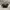 Vivienne Westwood Vintage Y2K Shoulder bag Wanita black photo 2