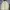 Roxy Sportswear Casual Puffer jacket Pria cream photo 2