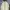 Roxy Sportswear Casual Puffer Jacket Pria Cream