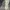 Roxy Sportswear Casual Puffer Jacket Pria Cream