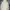 Roxy Sportswear Casual Puffer jacket Pria cream photo 3