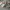 ZARA Luxury Casual Sneakers Kids white photo 2