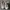 ZARA Luxury Casual Sneakers Kids white photo 1