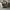 ZARA Luxury Casual Sneakers Kids white photo 3