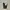 Dickies Streetwear Pria multicolor photo 1